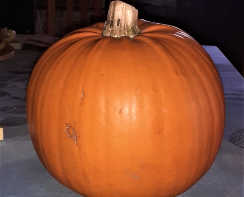 Pumpkin and halloween
